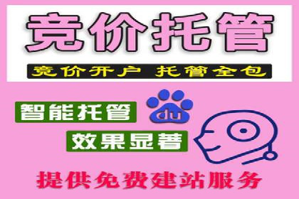 某公司网站sem托管项目纪实